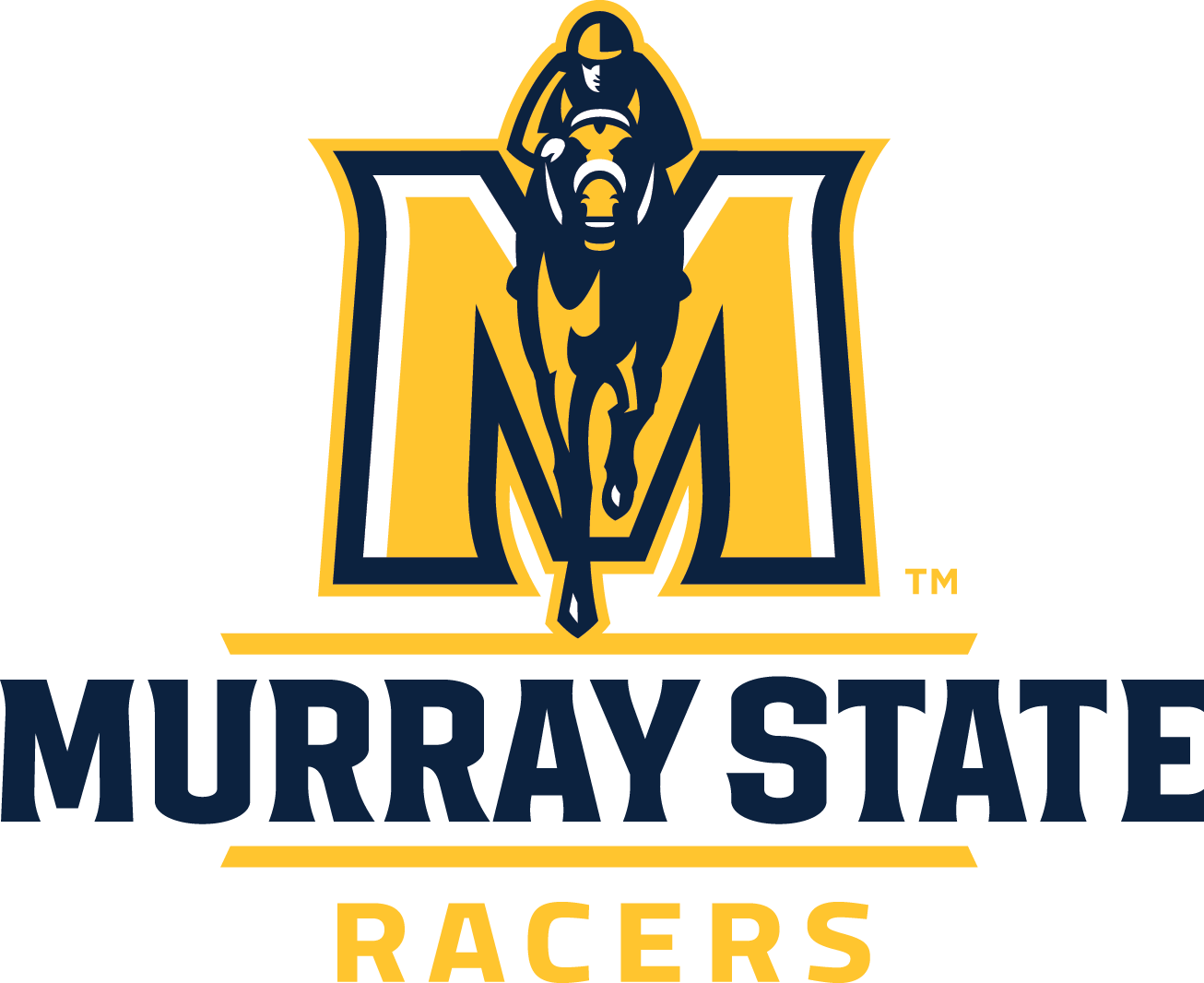 Paducah Branded Window World PPC